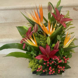 See You at the Bar Premium