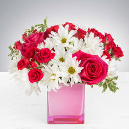 Compact arrangement of hot pink roses and white daisies in a pink square glass vase
