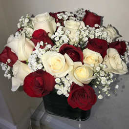 24 White and Red roses arranged round in a glass cube.