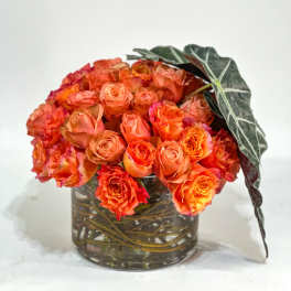 Orange rose bouquet in a clear glass vase with dark leaves