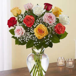 Premium Long Stem Assorted Roses