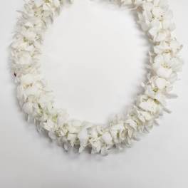 Ring-shaped garland of densely strung white orchid blooms on a white background