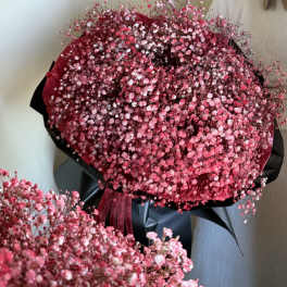 A bouquet of red gypsophila