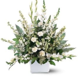 TF195-1 White Expressions Basket
