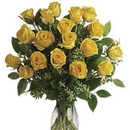 Dozen Yellow Roses (DL)