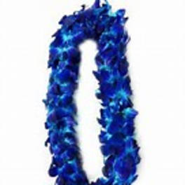 Blue orchid lei made of densely strung petals forming an oval garland