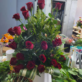 Red rosas and solidalgo green liaves