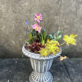 Potted floral arrangement with pink blooms and yellow speckled leaves in a silver urn