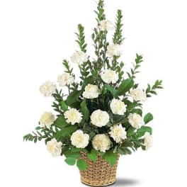 TF186-3 White Simplicity Basket
