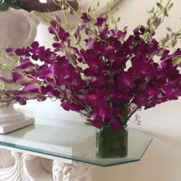 Array Purple Orchids Stems