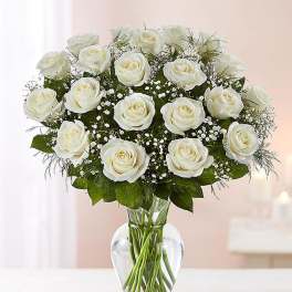 24 White Roses arranged in a vase