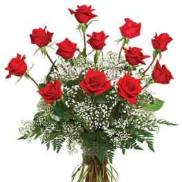 A Dozen Deluxe Roses