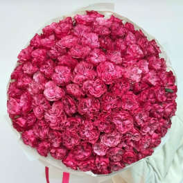 proposal bouquet of 100 pink roses