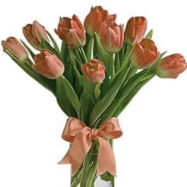 10 Orange Tulips arranged with a bow in a vase.