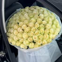 huge bouquet of 125 white roses for a marriage proposal