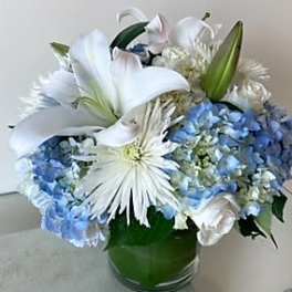 Blue and White Delight
