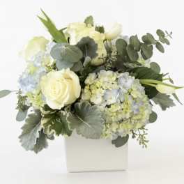 Cream roses and pale hydrangeas in a white box with eucalyptus