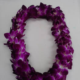 Purple orchid lei on a white background