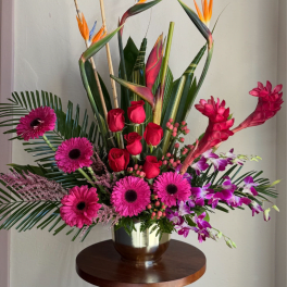 Tropical Arrangement