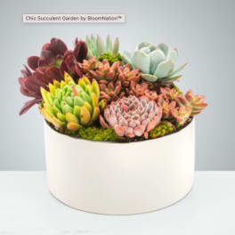Chic Succulent Garden