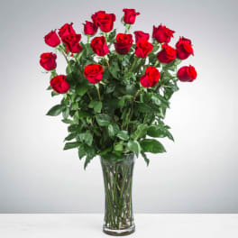 Two Dozen Long Stemmed Roses