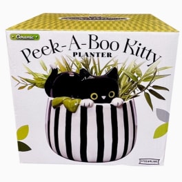 Peek A Boo Planter