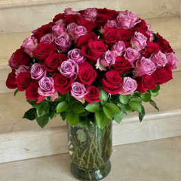 100 Premium Red and Purple Roses arranged in a large vase.