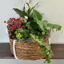 Flowering Plant Basket