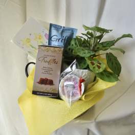 Gift basket with a potted plant, chocolates, and greeting cards