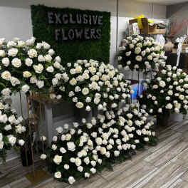 Large white rose arrangements displayed indoors around a green wall sign