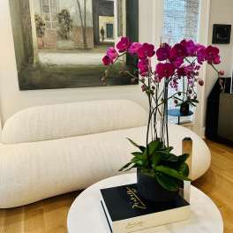 Pink orchids in a black pot on a white table