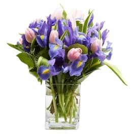 Purple irises and pink tulips in a clear glass vase