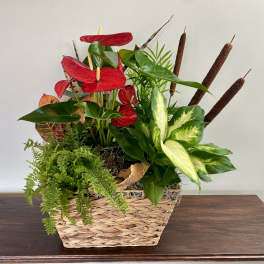 Woodland Paradise Plant Basket