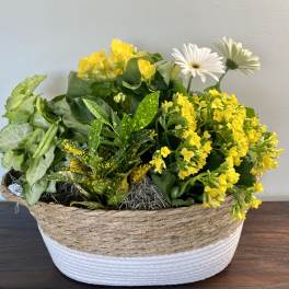 Blooming Basket