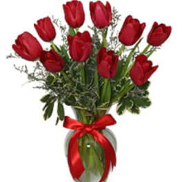 10 Red Tulips in Vase