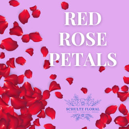 Red rose petals scattered on a lavender background with large white text