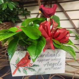 Potted plant with red ribbon and cardinal-themed sign