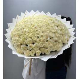 Large bouquet of cream roses wrapped in white paper