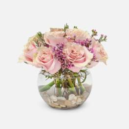 Pink roses arranged in a round glass vase with pebbles