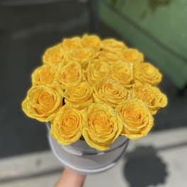 Bouquet of yellow roses in a round box
