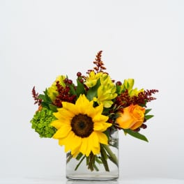 Sunflower and yellow alstroemeria arrangement in a clear glass vase