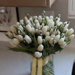 Ivory Grace Tulips