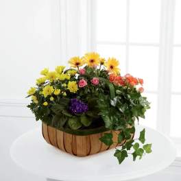 Mixed flower basket with yellow, pink, orange, and purple blooms