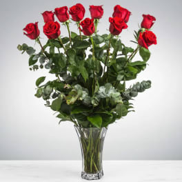 Dozen Long Stemmed Red Roses by BloomNation™