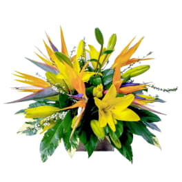 Tropical bouquet with yellow lilies and orange bird-of-paradise in a vase
