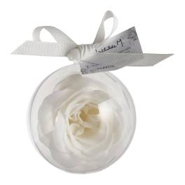 White rose in a clear round ornament with a ribbon bow