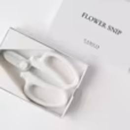 White flower-shaped earrings in a gift box