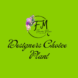 Logo on a green background with floral accents and the words "Designers Choice Plant"