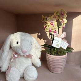 White plush bunny beside a pink potted orchid with a ribbon tag