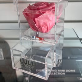 Single pink rose in a clear acrylic box